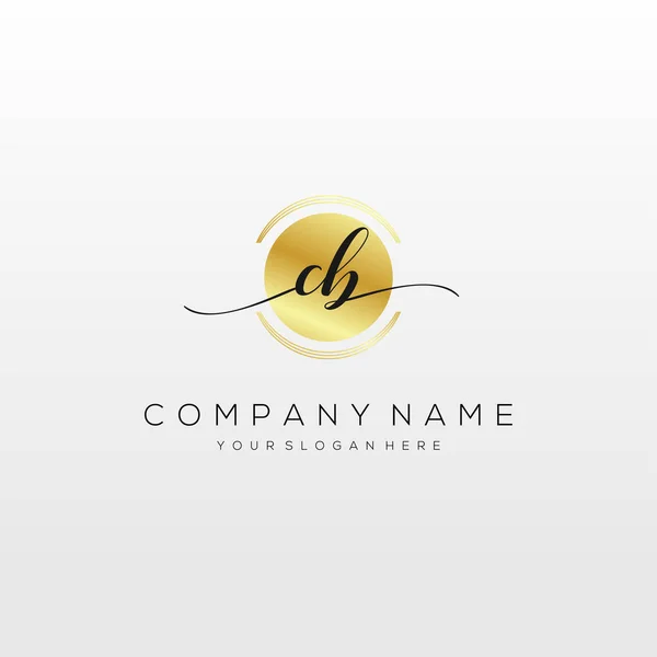 Inicial Handwriting Logo Vetor Logotipo Para Negócios Beleza Moda Outro — Vetor de Stock