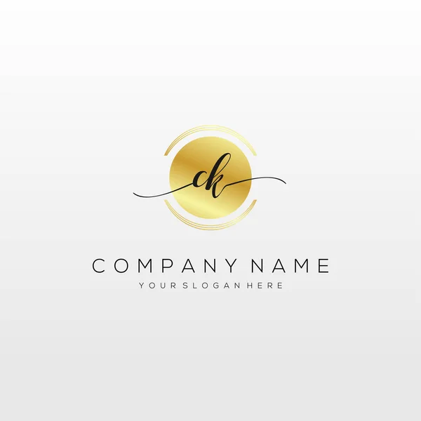 Initial Handwriting Logo Vector Logo Business Beauty Fashion Another — Stock Vector