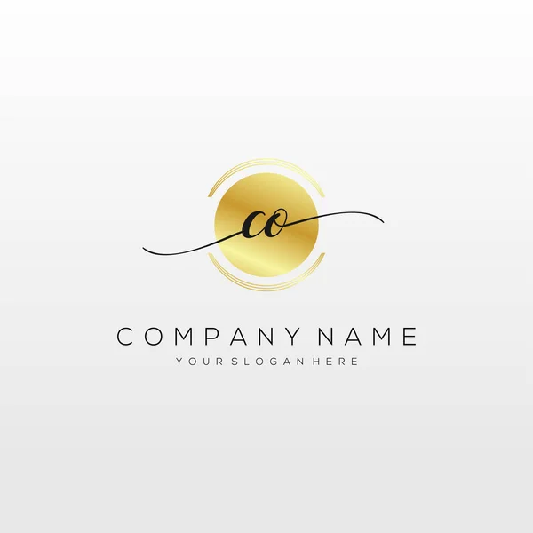 Inicial Handwriting Logo Vetor Logotipo Para Negócios Beleza Moda Outro —  Vetores de Stock