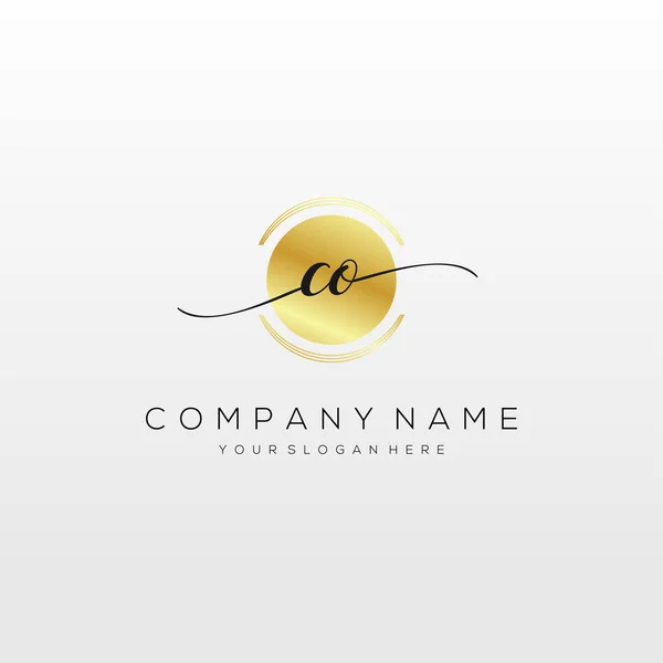 Initial Handwriting Logo Vector Logo Business Beauty Fashion Another — Stock vektor