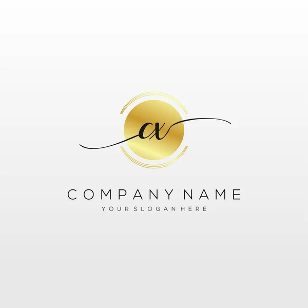 Initial Handwriting Logo Vector Logo Business Beauty Fashion Another — Stock vektor