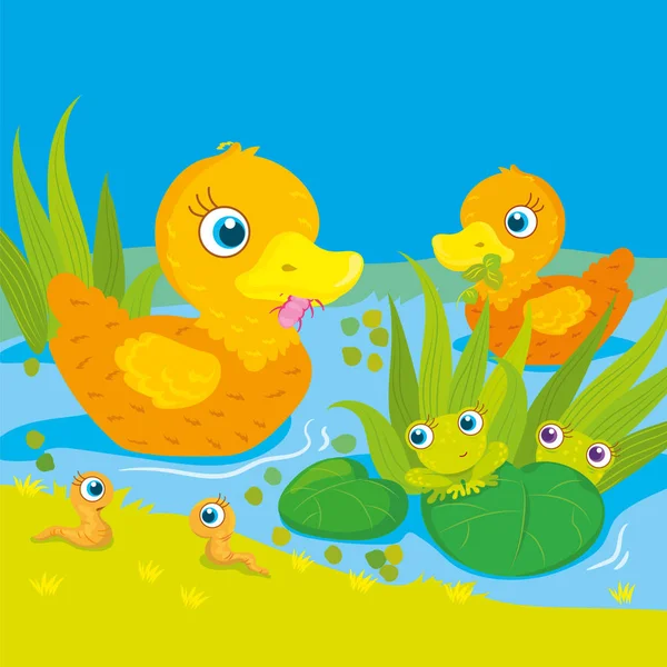 Ducks And Frogs On Pond — Stock Vector