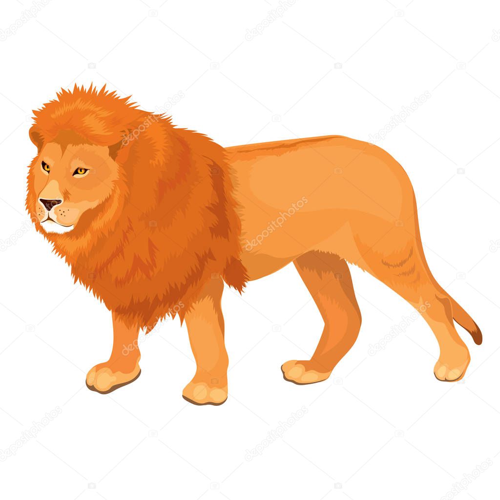 Vector Illustration Lion Walking