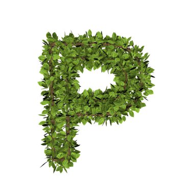 Yaprak biçimi p. 3D çim yazı tipinin görüntüsü beyaz arkaplanda izole edildi