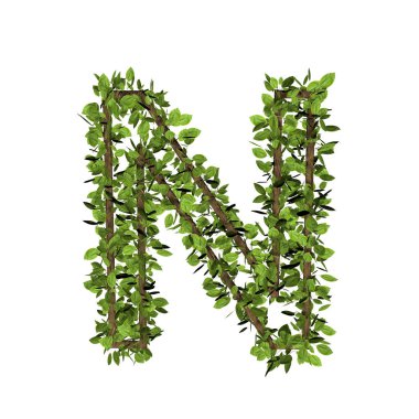 Yaprak biçimi harfi n. 3D çim yazı tipi görüntüsü beyaz arkaplanda izole edildi