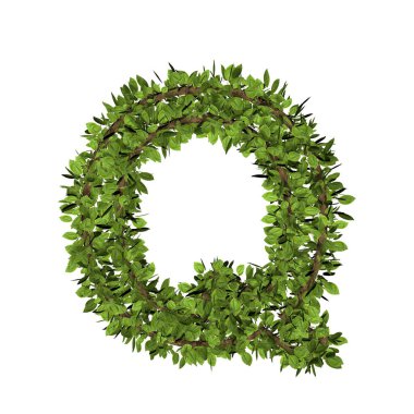 Yaprak stili Q harfi. Beyaz arkaplanda üç boyutlu çim yazı tipi görüntüsü izole edildi