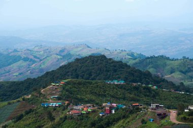 Petchabun bölgesindeki güzel dağ sıpası Tayland 'da.