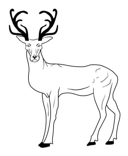 Cerf dessiné à la main sur blanc — Image vectorielle