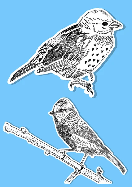 Uccelli Disegnati Mano Sfondo Blu — Vettoriale Stock