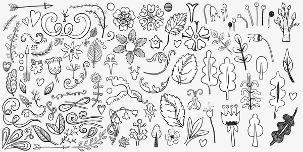 Floral Decoratieve Elementen Met Bladeren Bloemen — Stockvector