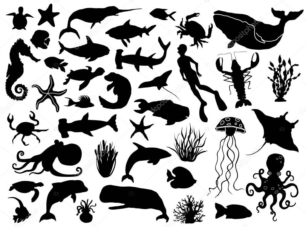 Aquatic life vector silhouettes