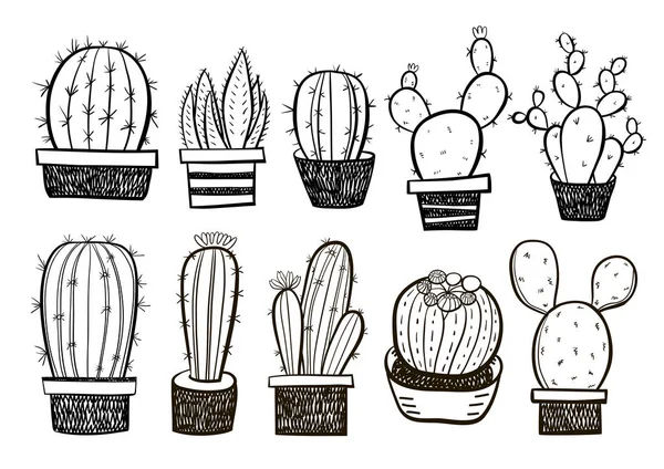 Colección Plantas Cactus Dibujadas Mano — Archivo Imágenes Vectoriales