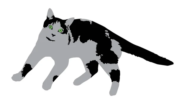 黑白矢量猫简单图解 — 图库矢量图片