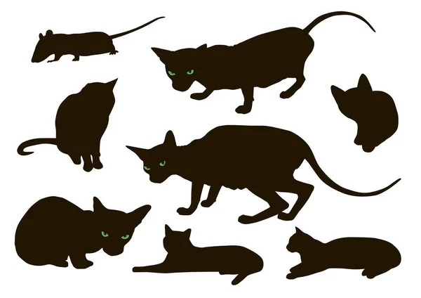 Sada Kočka Podrobné Pet Siluety — Stockový vektor