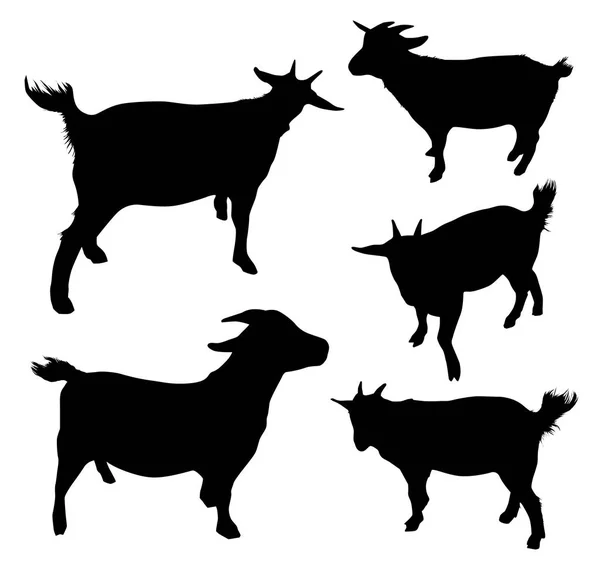 Ensemble Vectoriel Silhouettes Animaux Chèvre — Image vectorielle