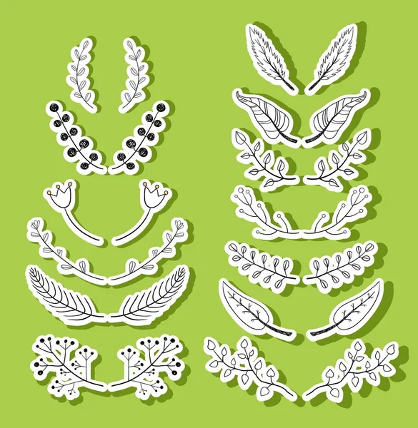 Elementos Diseño Floral Ramas Decorativas — Vector de stock