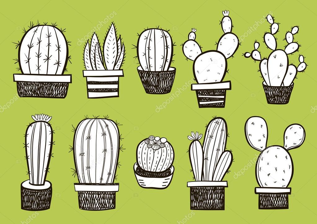 Hand drawn cactus collection, vector illustration