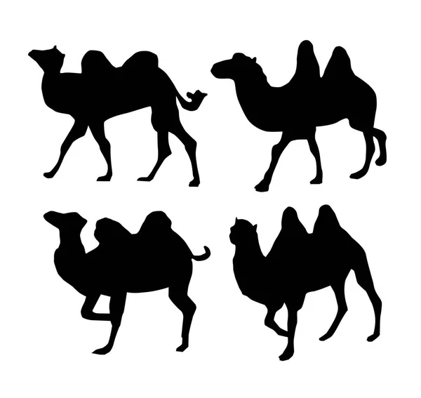 Vector Set Wild Camel Silhouetten — Stockvector