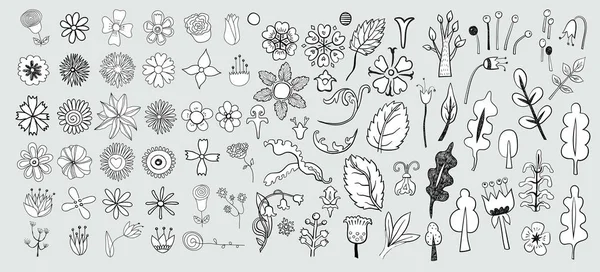 Ícones Florais Desenhados Mão Vetor Ilustração —  Vetores de Stock