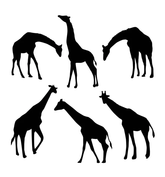 Набор Силуэтов Жирафов Вектор Иллюстрация — стоковый вектор
