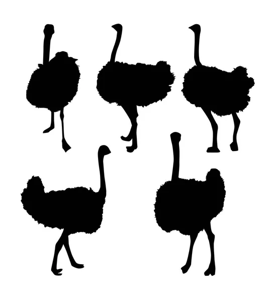 Set Wild Ostrich Silhouettes Vector Illustration — Stock Vector