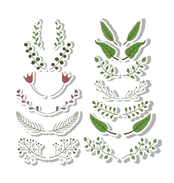 Conjunto Elementos Design Floral Colorido Vetor Ilustração — Vetor de Stock