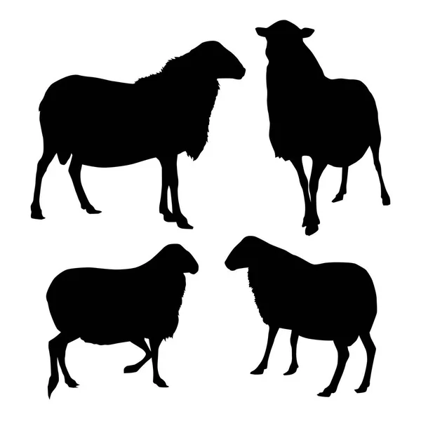 Zestaw Sylwetki Owiec Wektor Ilustracja — Wektor stockowy