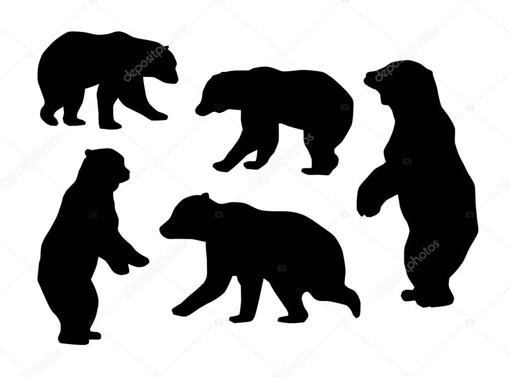 set of bear silhouettes, vector, illustration 