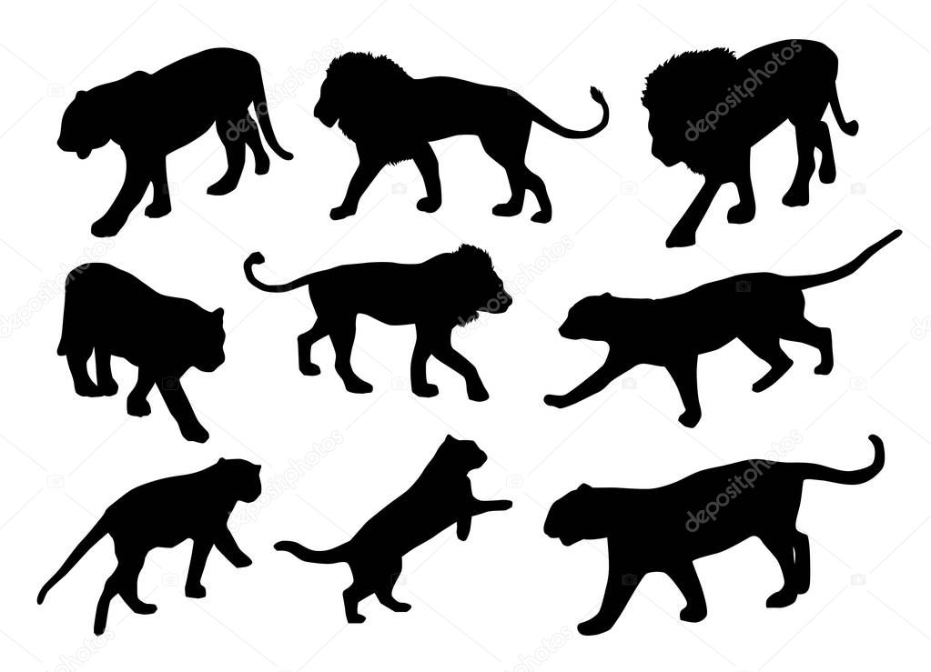set of  lion silhouettes, vector, illustration 