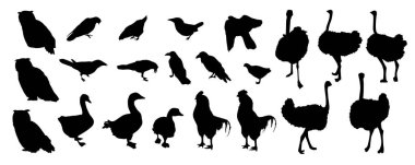 Beyaz arka plan üzerinde izole Kuş Silhouettes.