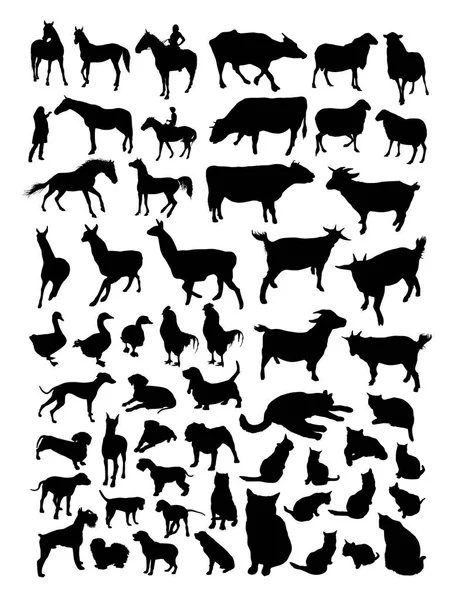Sziluettek Háziasított Állatok Madarak Elszigetelt Fehér Background — Stock Vector