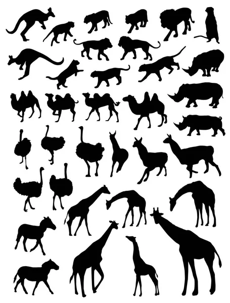 Silhouettes Animaux Sauvages Isolés Sur Fond Blanc — Image vectorielle