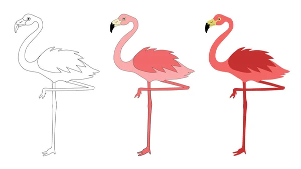 Flamingo Kresby Bílém Pozadí Vektorové Ilustrace — Stockový vektor