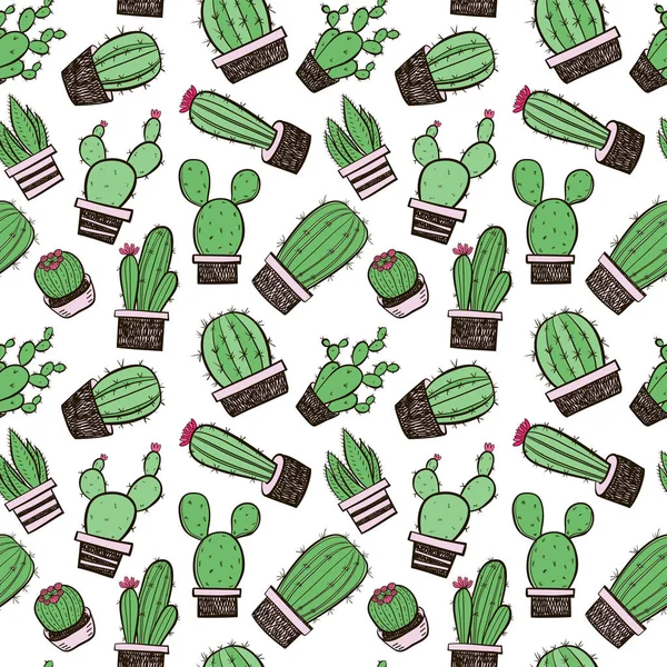 Padrão Sem Costura Cacti Ilustração Vetorial — Vetor de Stock