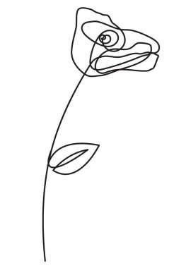 Gül çiçeği hattı sanatı. Minimalist sınır çizimi.