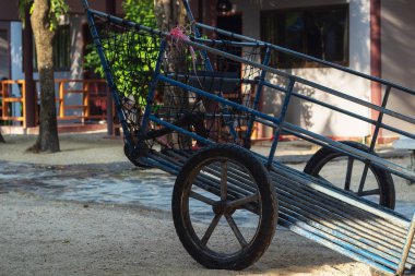 Phi Phi Don sahilinde Puisaj