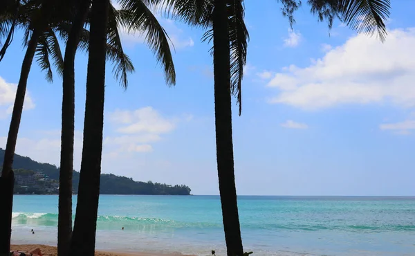 Tropikalne Kwiaty Rośliny Palmy Kokosowe Tle Błękitnego Nieba Plaże Parki — Zdjęcie stockowe