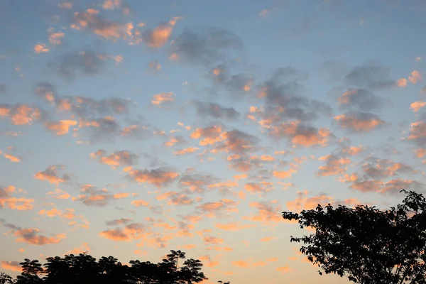 Les Libellules Volent Dans Ciel Bleu Dessus Asie Chaude — Photo