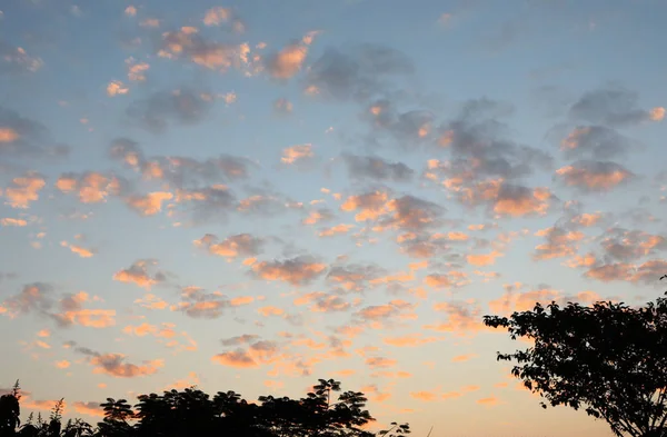 Roze Bewolking Morgen Lucht Tegen Een Donker Blauwe Lucht — Stockfoto
