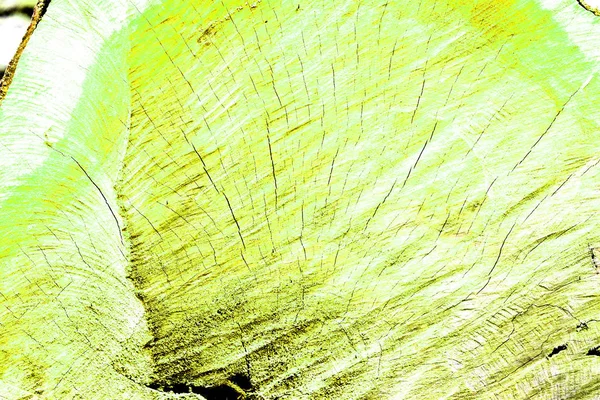 Natürlicher Holzhintergrund Textur Grünton Ansicht Hellgrüner Farbtafel — Stockfoto