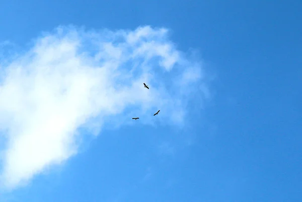 Fundo Nuvens Brancas Céu Azul Pela Manhã Ásia — Fotografia de Stock