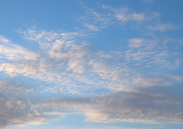 Fond Nuages Blancs Sur Ciel Bleu Matin Asie — Photo