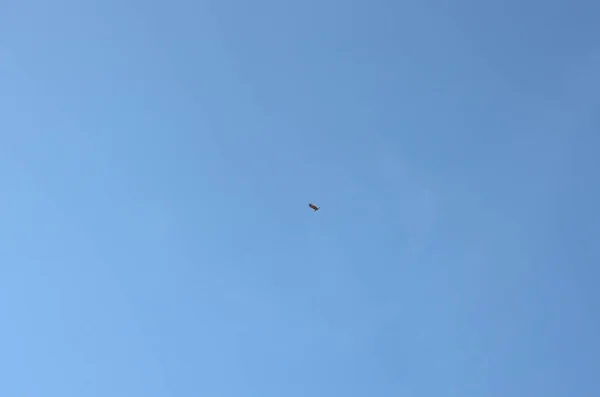 Antecedentes Águias Negras Voam Nas Nuvens Céu Azul Pela Manhã — Fotografia de Stock