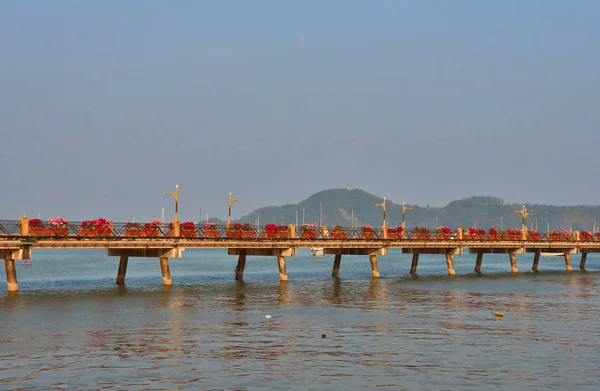 热带背景 南亚海 海岸和树木 — 图库照片