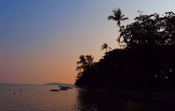 Tropische Landschaft Hintergrund Südasien Meer Ufer Und Bäume Freien — Stockfoto