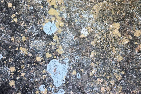 Marmur Tła Kamień Naturalny Różnych Kolorach Odcieniach Projekt Artystyczny — Zdjęcie stockowe