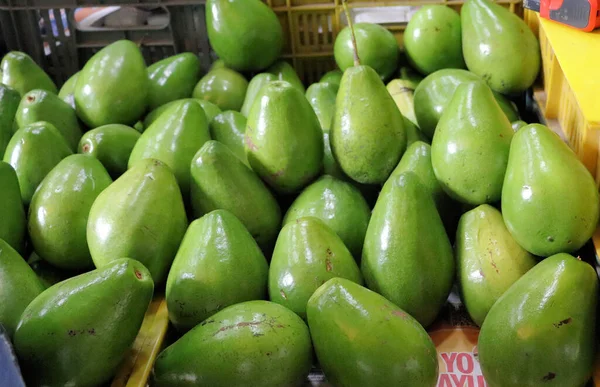 Frutos Jardín Tropical Colombia Costa Caribeña — Foto de Stock