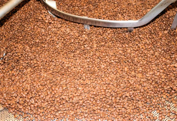 Kolumbianischer Kaffee Kaffeebohnen Röstmaschine Kaffeeproduktion — Stockfoto