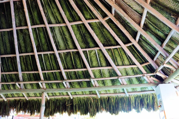 Бунгало Тропиках Технология Строительства Бамбука — стоковое фото