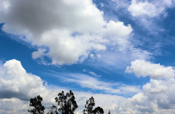Een Zwerm Vogels Blauwe Lucht Vliegt Witte Wolken — Stockfoto